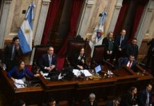 Senado: agendas cruzadas entre el oficialismo y la oposición para sesionar antes del recambio legislativo