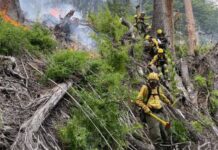 Incendios en la Patagonia: tras la pérdida de 10 mil hectáreas de bosque nativo, el Gobierno intervino el Parque Nacional Los Alerces
