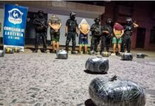 Jaldo destacó el secuestro de 160 kilos de marihuana en Tucumán y dijo que endurecerá la política de seguridad