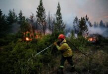 La oposición presiona para aumentar los recursos destinados a combatir los incendios en la Patagonia