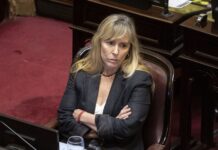 Extranjeros, afuera: el kirchnerismo ahora pretende que los principales cargos del Estado sean solo para argentinos