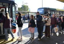 Cayó la frecuencia de colectivos en el AMBA por la suba del gasoil y la falta de subsidios; advierten nuevas reducciones