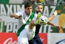 El tenso cara a cara de Pedro Troglio con los periodistas tras el empate de Banfield: “Me calienta que pidan mi cabeza”