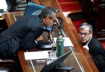 El plan del Gobierno para arrebatarle al peronismo la primera minoría en Diputados y ganar control legislativo