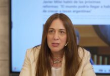 Lejos del Congreso y como vocera: los planes de Vidal para reconstruir el PRO pensando en el 2027