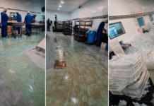 “Me hacían mentir, los controles de bacterias eran falsos”, las explosivas declaraciones de dos empleadas en la causa por el fentanilo mortal