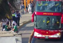 Murió un hincha de Palmeiras tras caerse de un bus durante una excursión turística en la previa de la final de Copa Libertadores