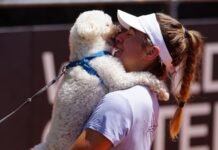Tino, el perro de Solana Sierra, debutó con victoria en la Billie Jean King Cup: “Cada vez que me viene a ver, gano”