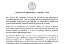 Tras el insólito acto en el Congreso, el Gobierno ratificó la seguridad y la gratuidad de las vacunas junto a 22 ministros de Salud