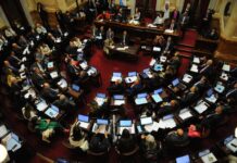 El Senado se prepara para sancionar dos leyes y cerrar su año: los escenarios posibles