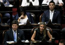 Presupuesto 2026: un diputado libertario se confundió de proyecto y elogió un plan obras que propone la oposición