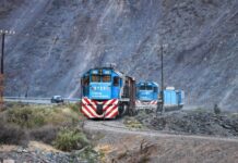 El Gobierno iniciaría el proceso para privatizar el Belgrano Cargas: la letra chica y el plan para renovar otra compañía clave