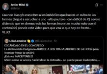 La Libertad Avanza pidió la expulsión de una diputada kirchnerista por su actitud durante la sesión de la reforma laboral