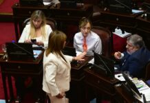 El Gobierno busca cerrar la guerra con el kirchnerismo por la integración de las comisiones del Senado