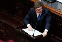 Javier Milei: “No me van a llevar puesto como a Macri”