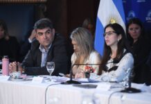 El Senado inició el debate sobre cambios en salud mental: se invitará a expositores