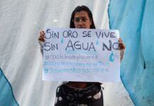 Maximiliano Ferraro criticó la reforma de la Ley de Glaciares: “El Parlamento se convirtió en un templo de mercaderes”