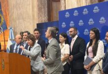 El Senado se prepara para una semana con mucha actividad y los aliados miran a los libertarios por Ficha Limpia