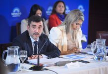 Reforma política: a diferencia de la Casa Rosada, un senador oficialista dijo que “no hay ninguna intención de tratar todo junto”
