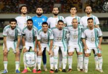 El polémico pedido del entrenador de Argelia, rival de Argentina en el Mundial, de cara al amistoso ante Bolivia: el factor Scaloneta