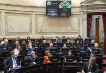 El Senado definirá en una semana si retira o aprueba la candidatura de Michelli como jueza