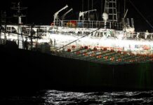 La flota extranjeras china extrae en la milla 201 hasta cuatro veces más recursos naturales que la pesca argentina